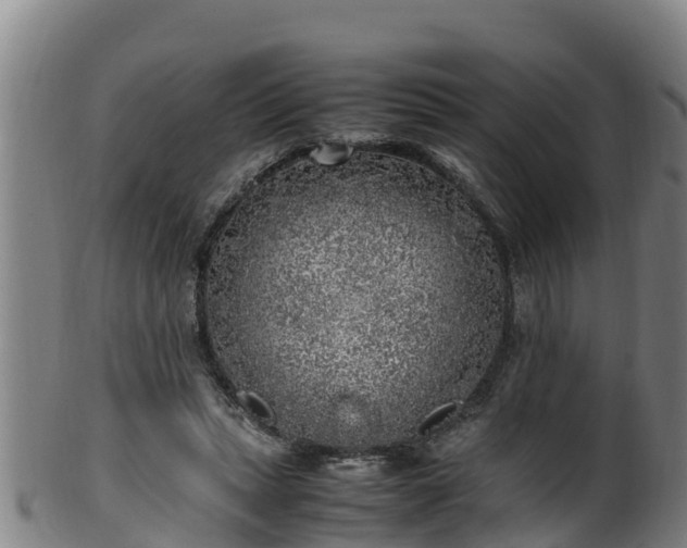 X0000100230447200806061413