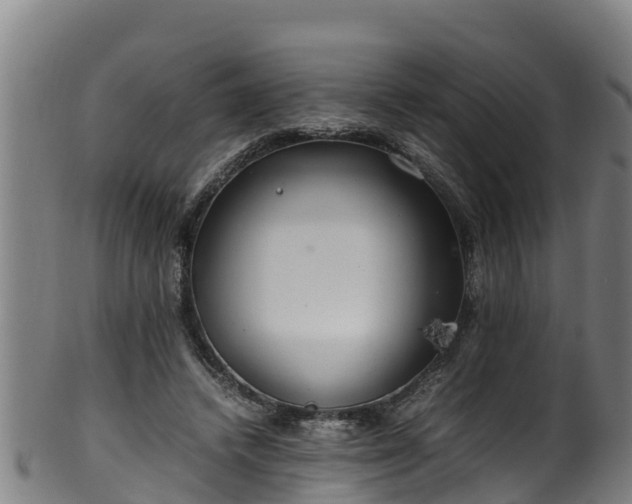 X0000100230448200806061413