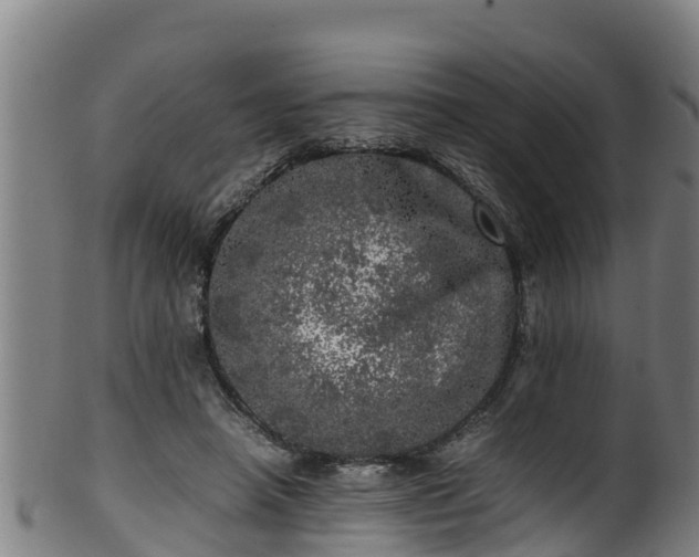 X0000100230450200806061413