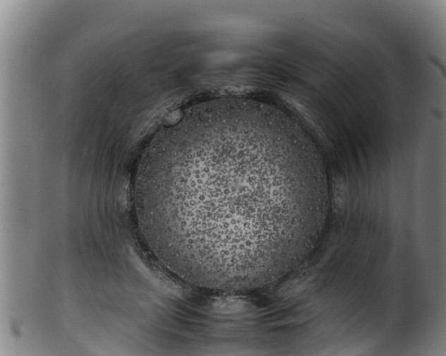 X0000100230451200806061413