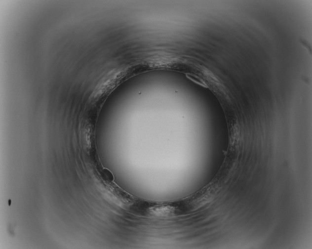 X0000100230452200806061413