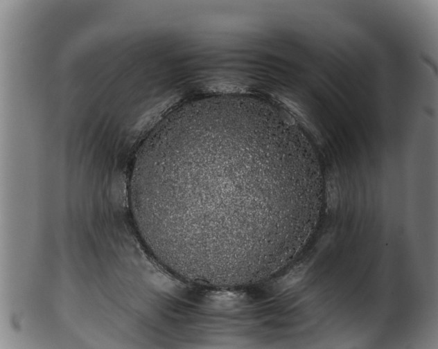 X0000100230453200806061413