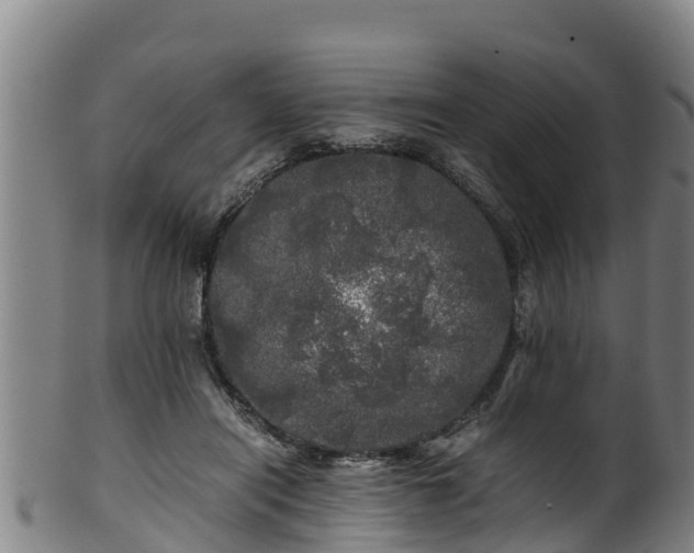 X0000100230454200806061413