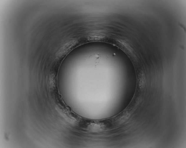 X0000100230455200806061413