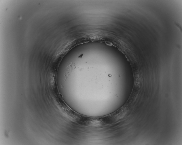 X0000100230456200806061413