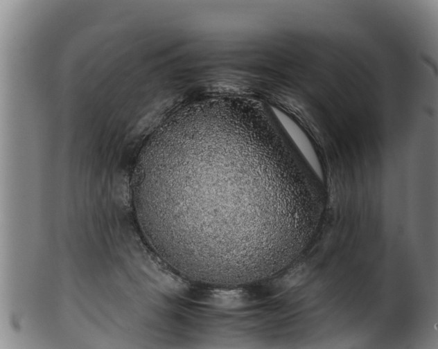 X0000100230457200806061413