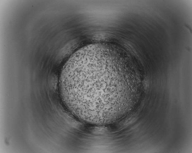 X0000100230458200806061413
