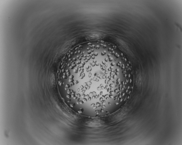 X0000100230459200806061413