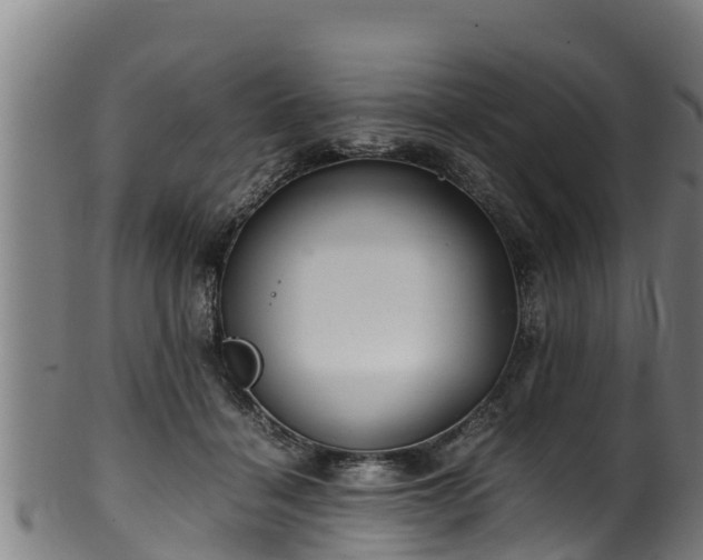 X0000100230460200806061413