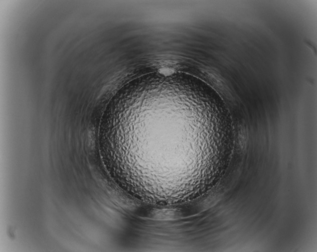 X0000100230461200806061413