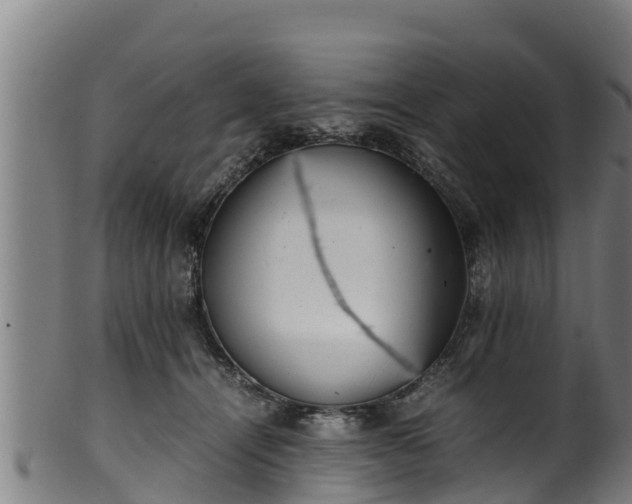 X0000100230464200806061413