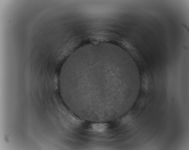 X0000100230465200806061413