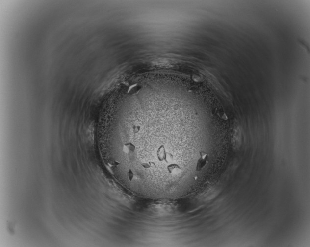 X0000100230466200806061413