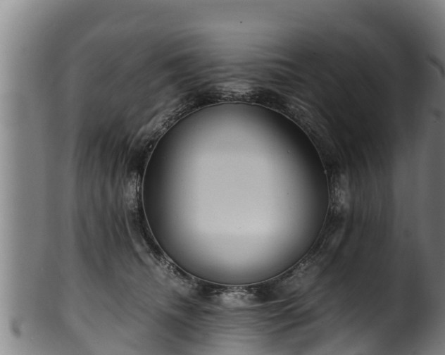 X0000100230468200806061413