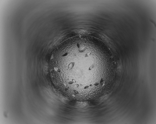 X0000100230469200806061413