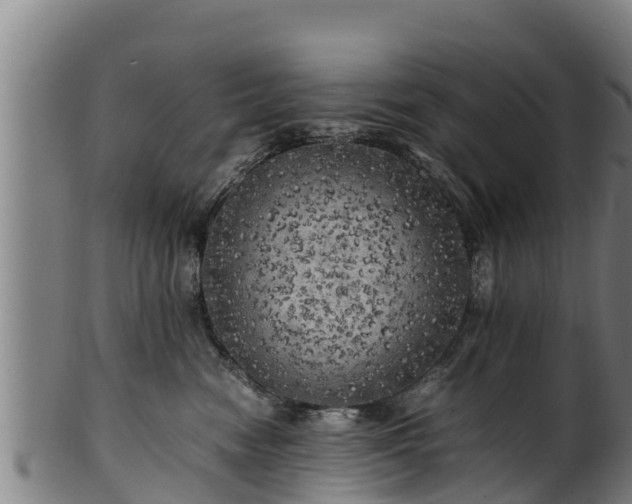 X0000100230474200806061414