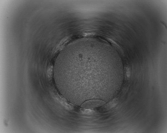 X0000100230475200806061414