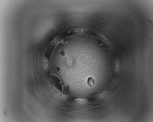 X0000100230477200806061414