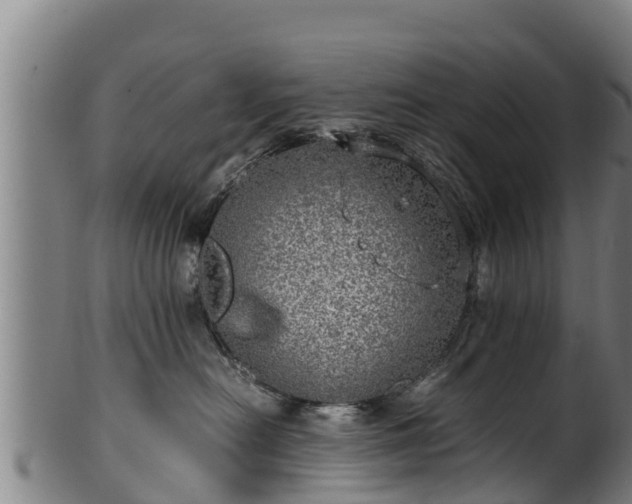 X0000100230478200806061414