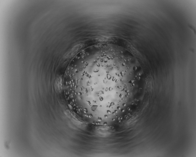 X0000100230479200806061414