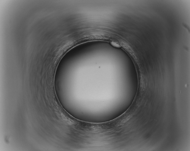 X0000100230481200806061413