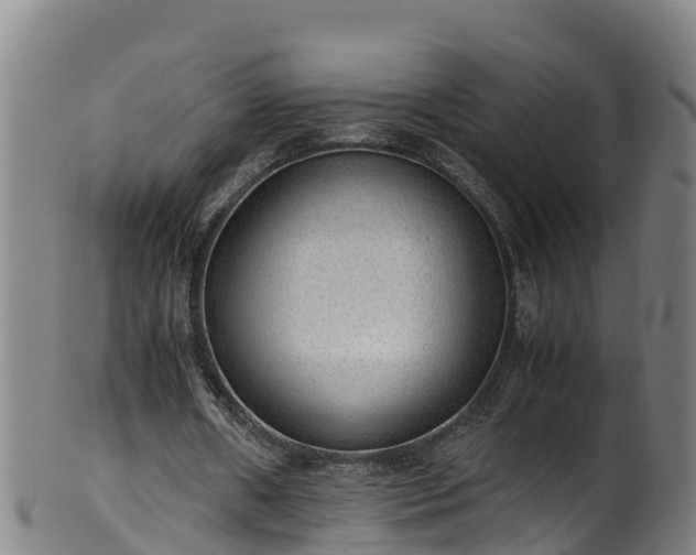 X0000100230482200806061413