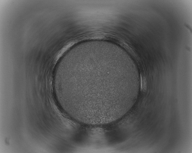 X0000100230483200806061413