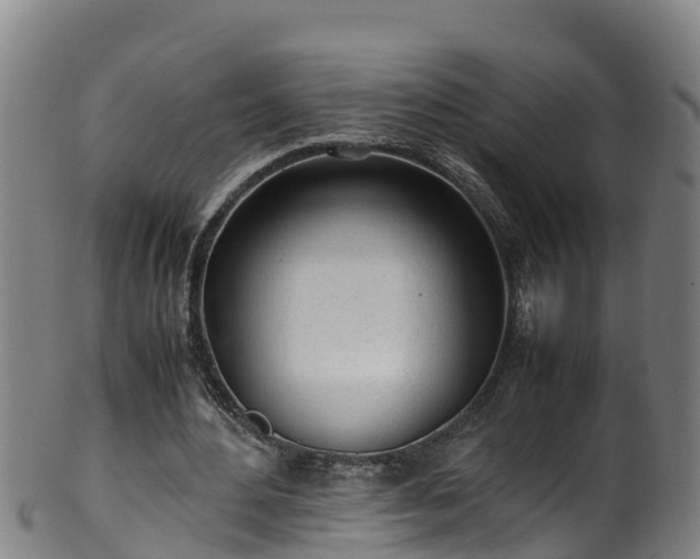 X0000100230484200806061413