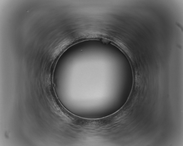 X0000100230485200806061413