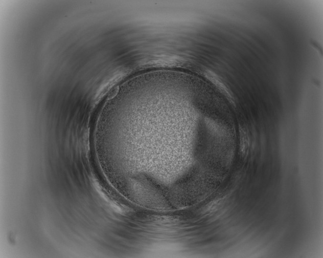 X0000100230486200806061413