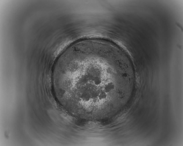 X0000100230487200806061413