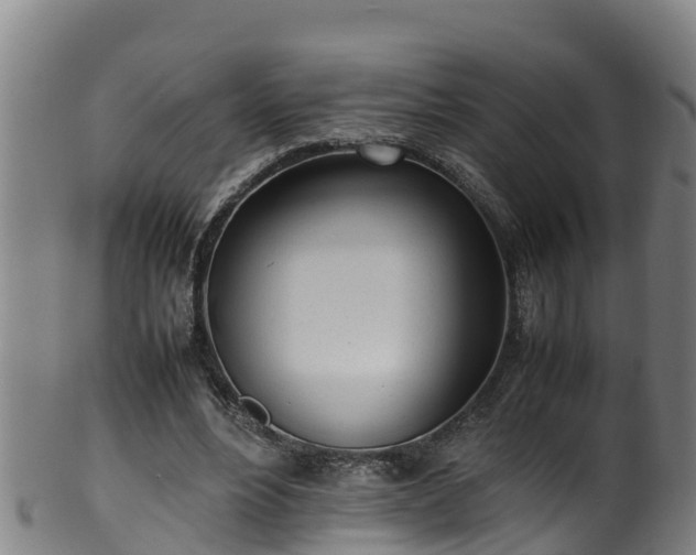 X0000100230488200806061413