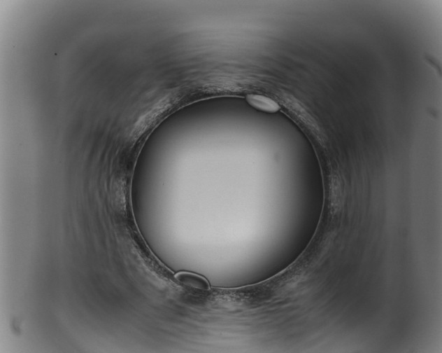 X0000100230489200806061413