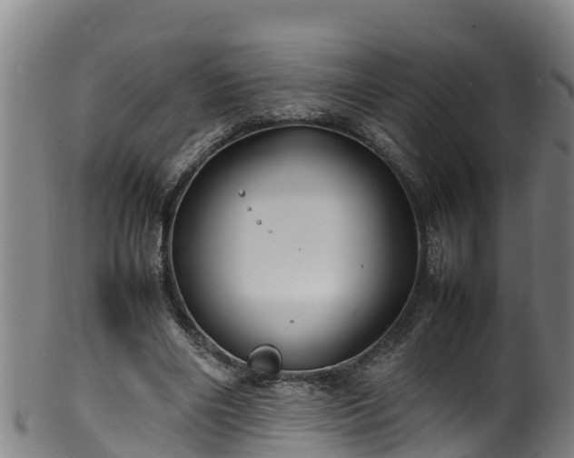 X0000100230490200806061413