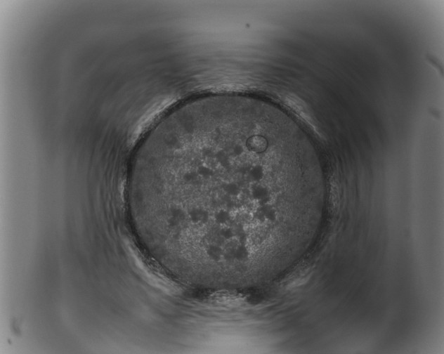 X0000100230491200806061413