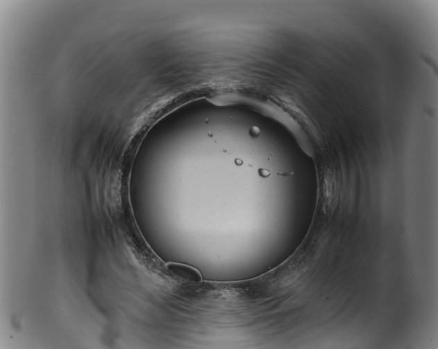 X0000100230492200806061413