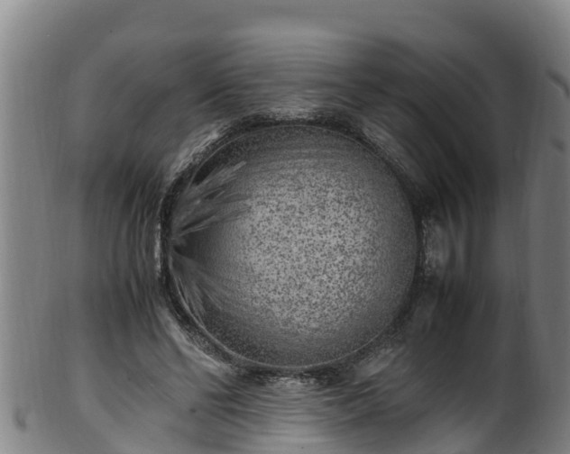 X0000100230494200806061413