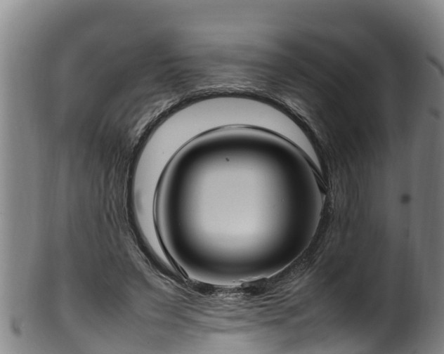 X0000100230495200806061413