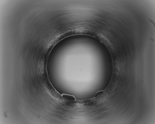 X0000100230496200806061413