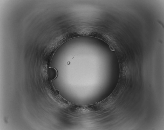 X0000100230498200806061413