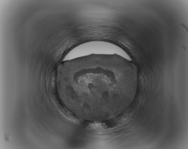 X0000100230499200806061413