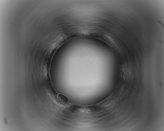 X0000100230500200806061413