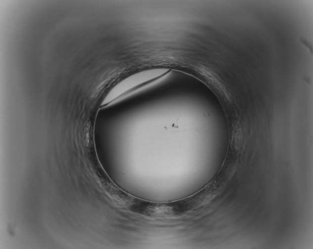 X0000100230501200806061413