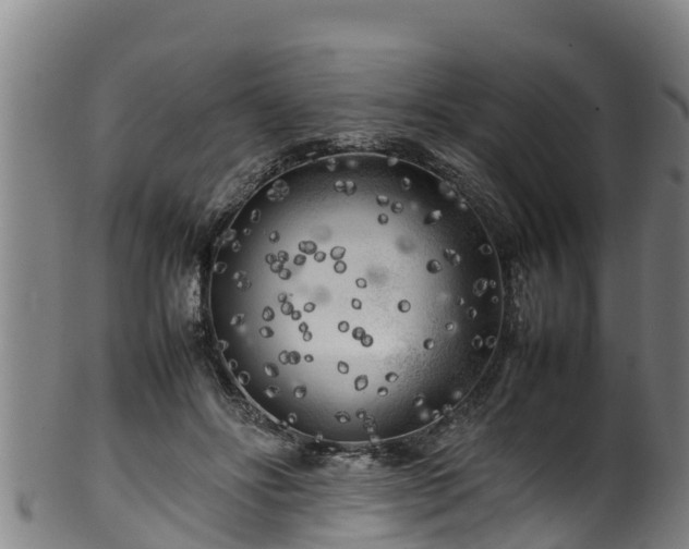 X0000100230502200806061413