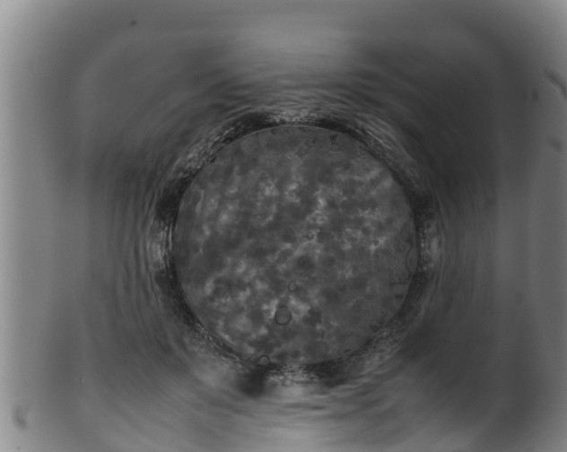 X0000100230503200806061413