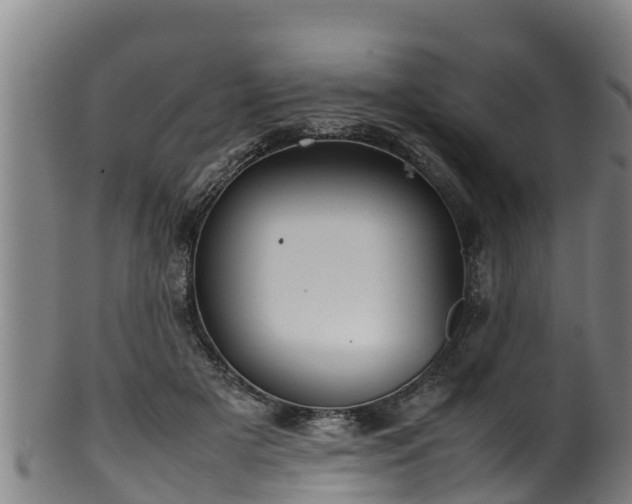 X0000100230505200806061413