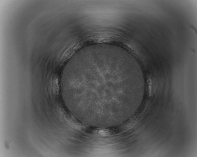 X0000100230506200806061413