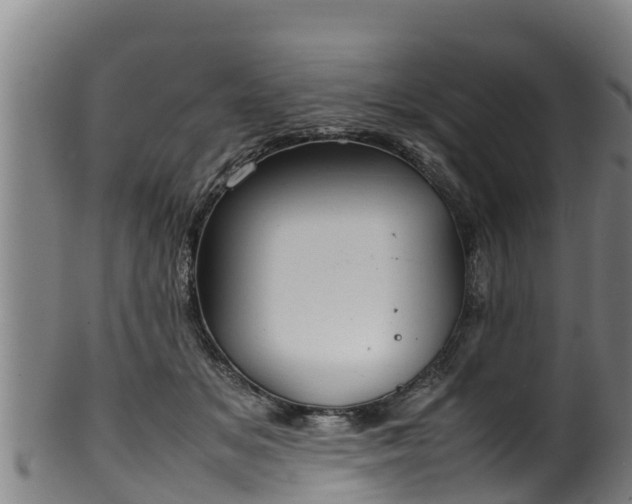 X0000100230509200806061412