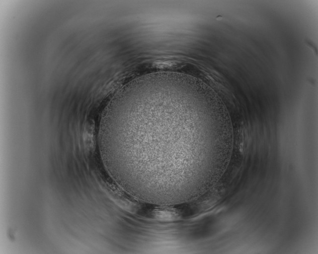 X0000100230510200806061412