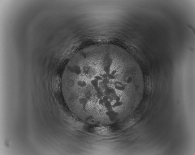 X0000100230511200806061412